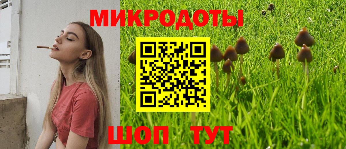 Галлюциногенные грибы прущие грибы  Галлюциногенные грибы ЛСД  Прохладный  Вход с VPN 